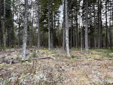 681 Duck Cove Road Roque Bluffs ME 04654