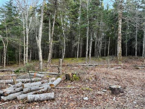 681 Duck Cove Road Roque Bluffs ME 04654