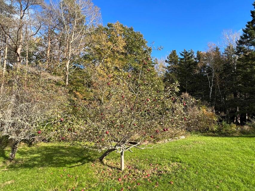 32 Woods Road Owls Head ME 04854