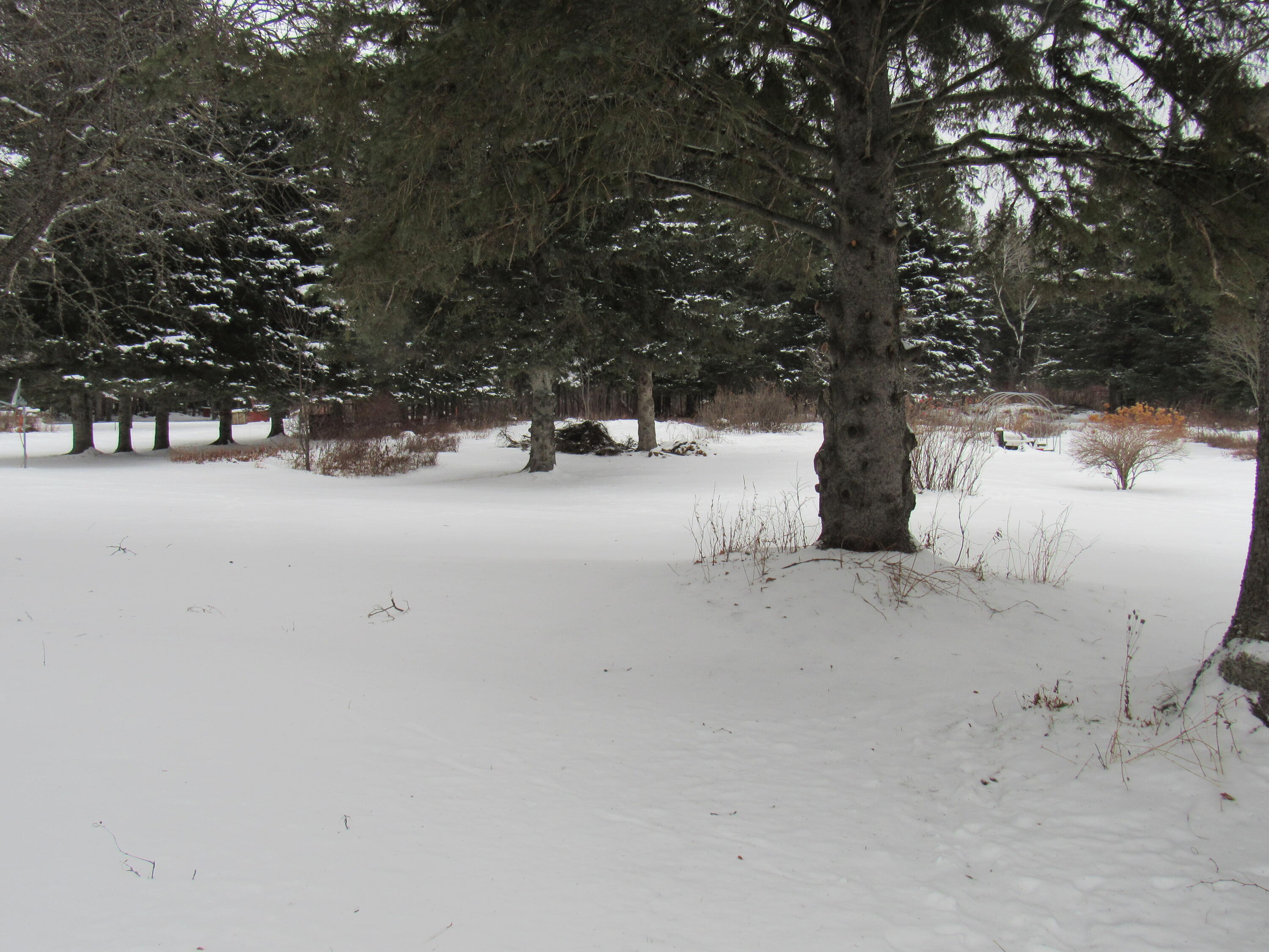 42 Pleasant Street Moose River ME 04945