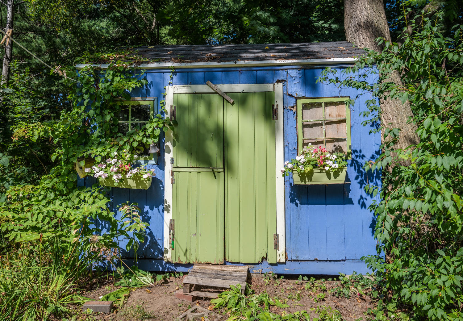 47 Belfort Street Portland ME 04103