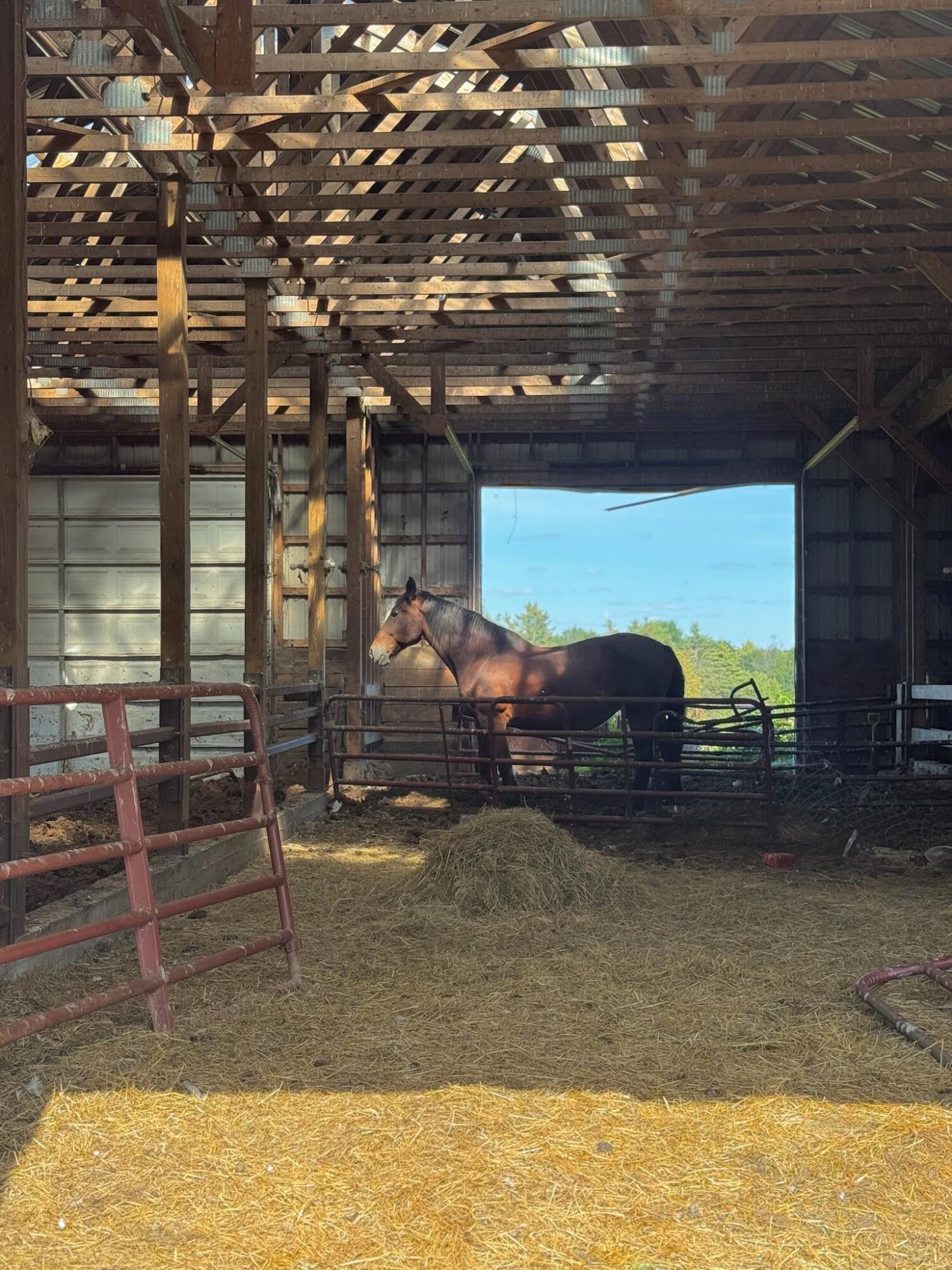 283 Shaw Road Dover-foxcroft ME 04426