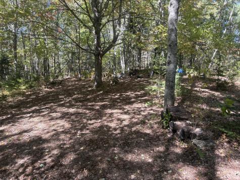 905 W Plymouth Road Etna ME 04434