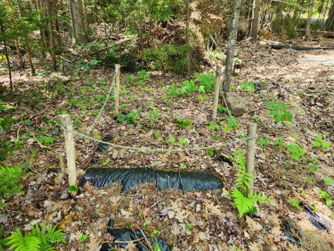 86 Beach Road Lincolnville ME 04849