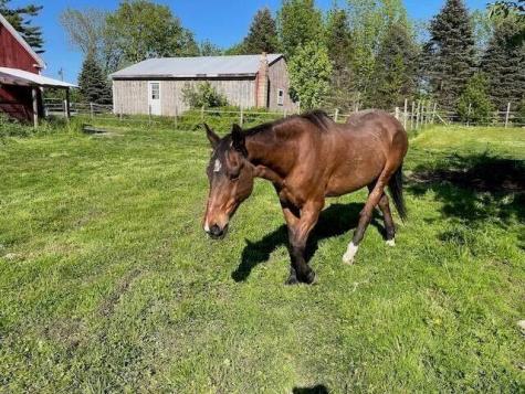 37 Quaker Ridge Road Casco ME 04015