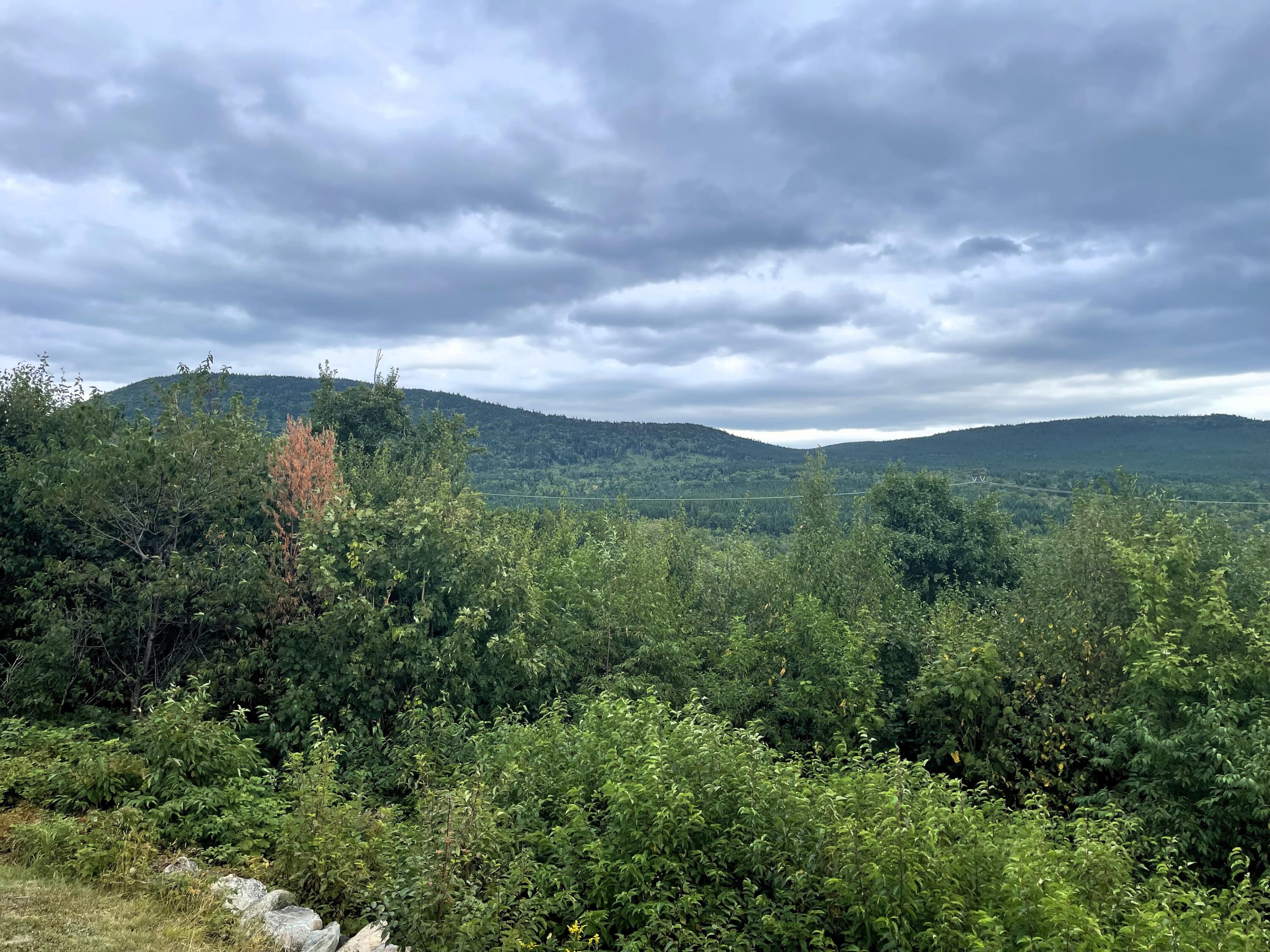 1261 Dirigo Road Upper Enchanted Twp ME 04945