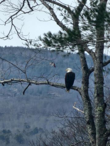 30 Willins Orchard Road Bucksport ME 04416