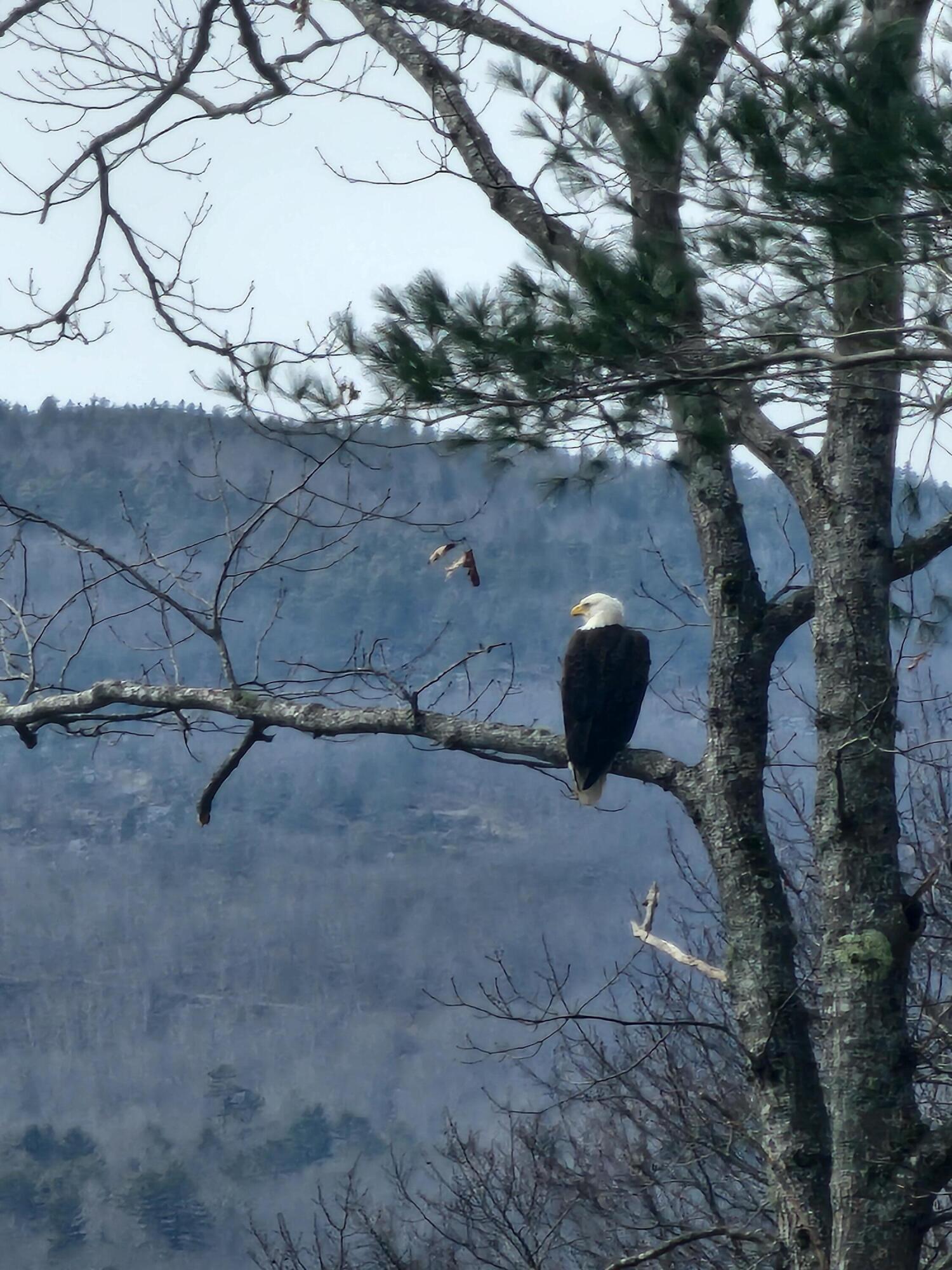 30 Willins Orchard Road Bucksport ME 04416