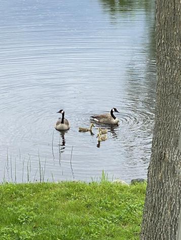 83 Orono Landing Road Orono ME 04473