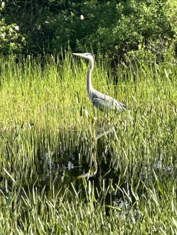 83 Orono Landing Road Orono ME 04473