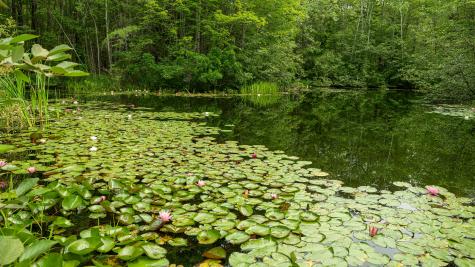 3 Canter Lane Cape Elizabeth ME 04107