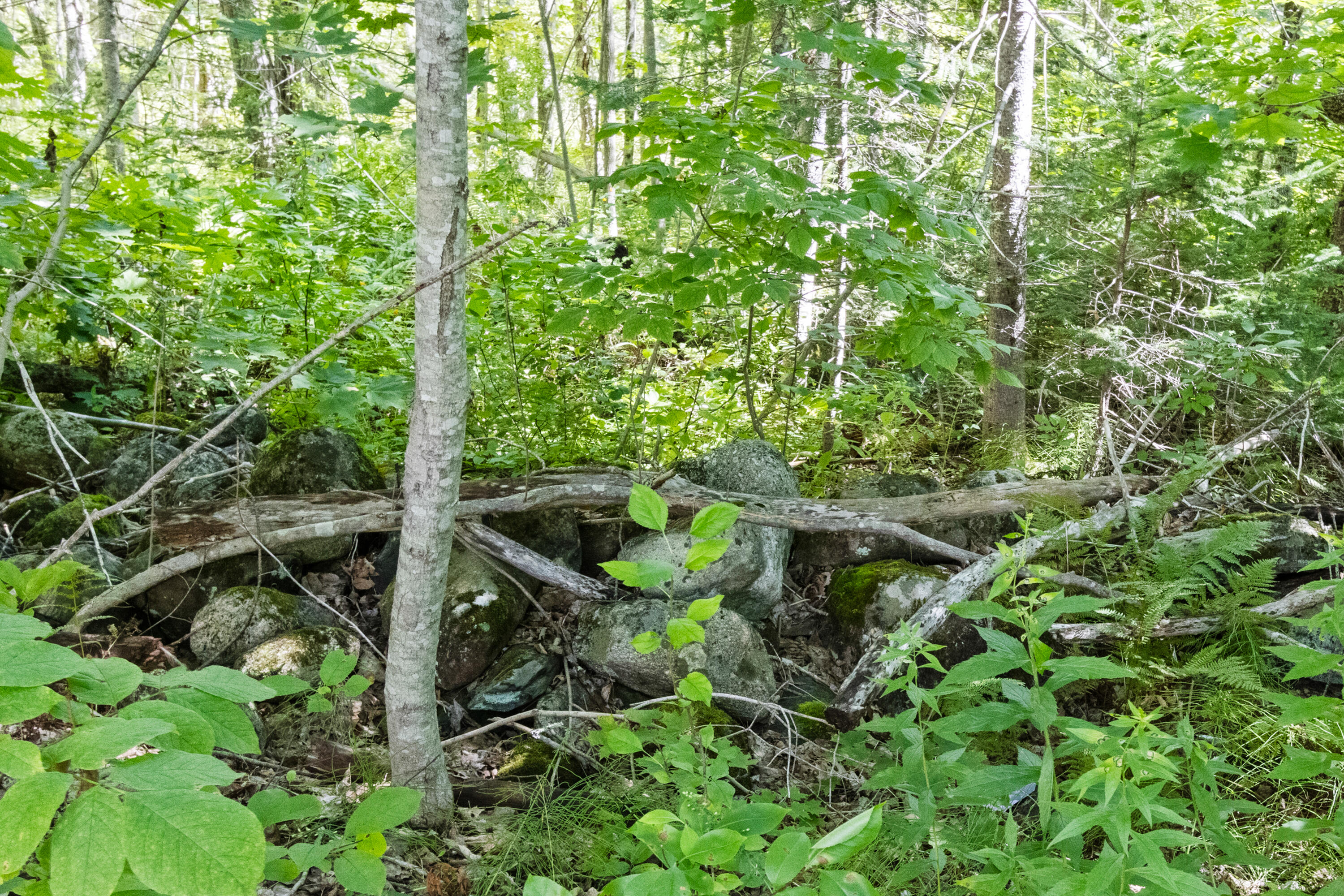 1291 Union Road Waldoboro ME 04572