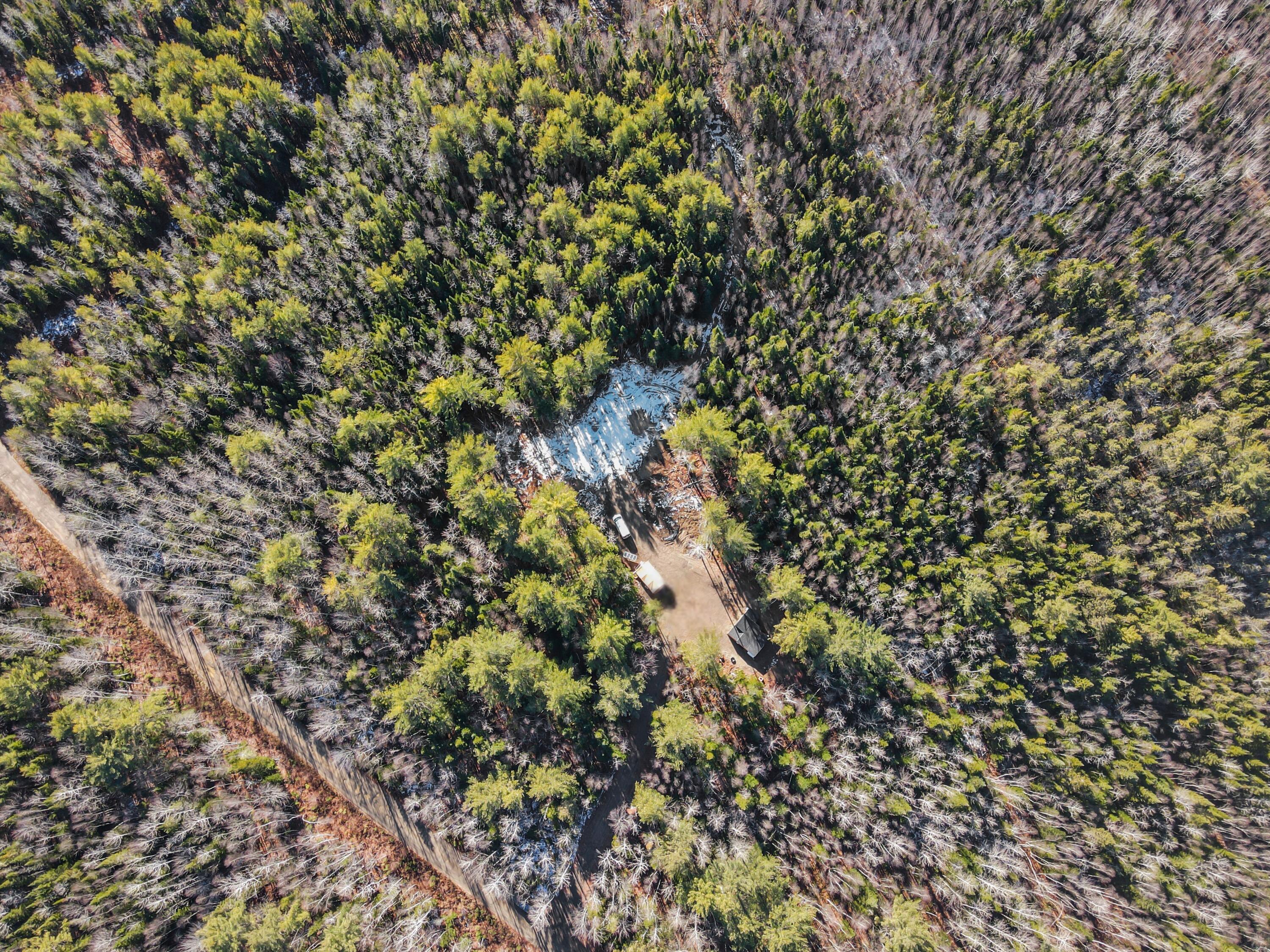 17 Otter Trail Greenbush ME 04418