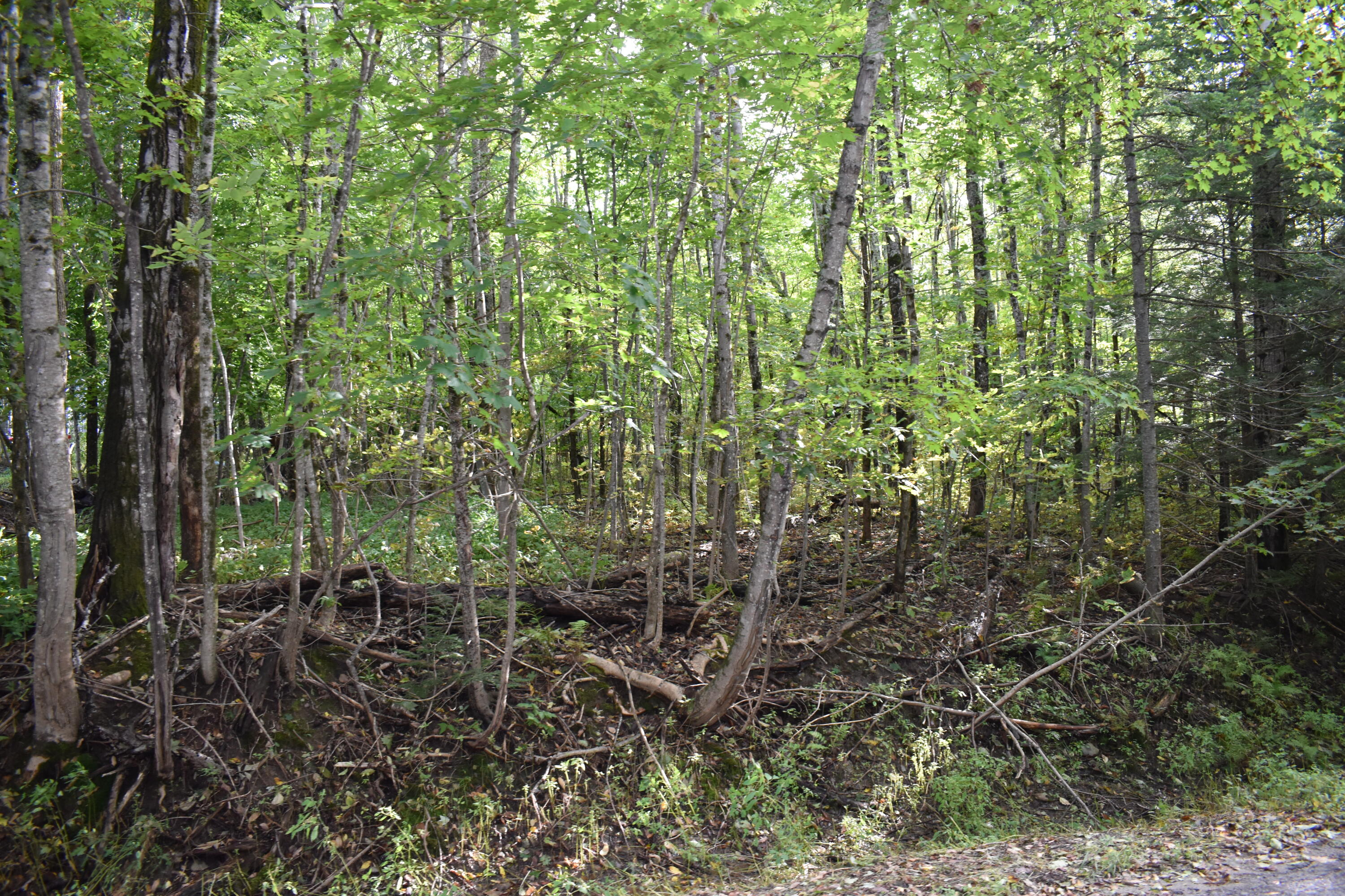 1 Lane Hill Road Lincoln ME 04457