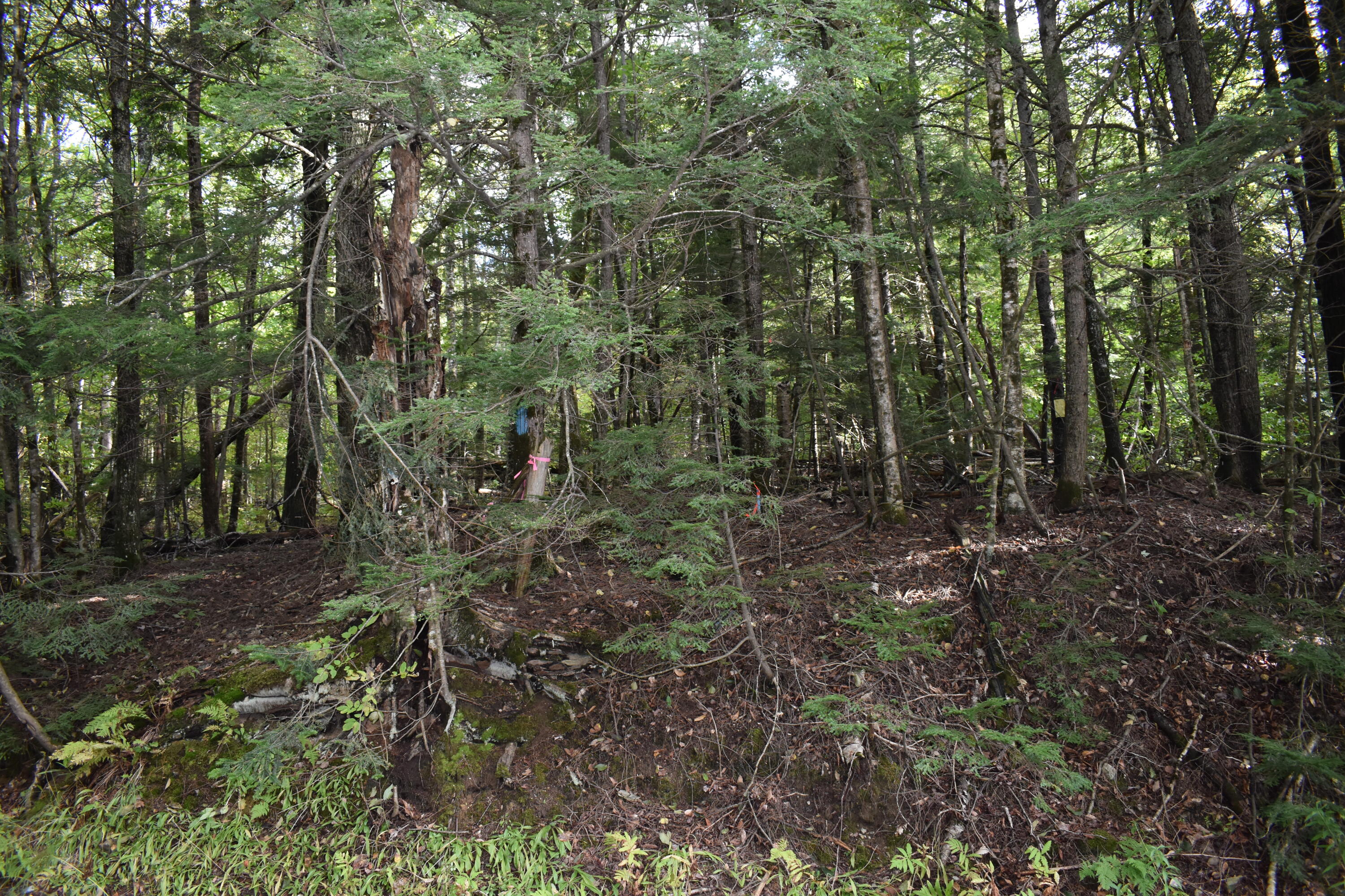 1 Lane Hill Road Lincoln ME 04457