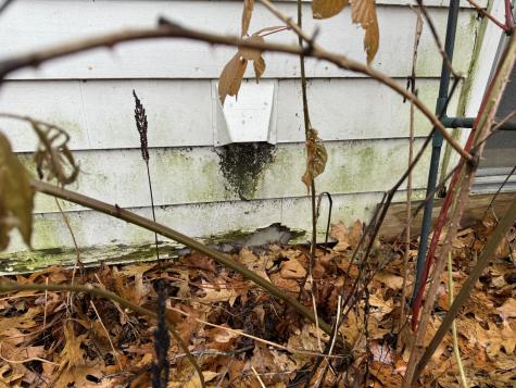 52 Mallett Drive Topsham ME 04086