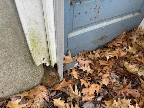 52 Mallett Drive Topsham ME 04086