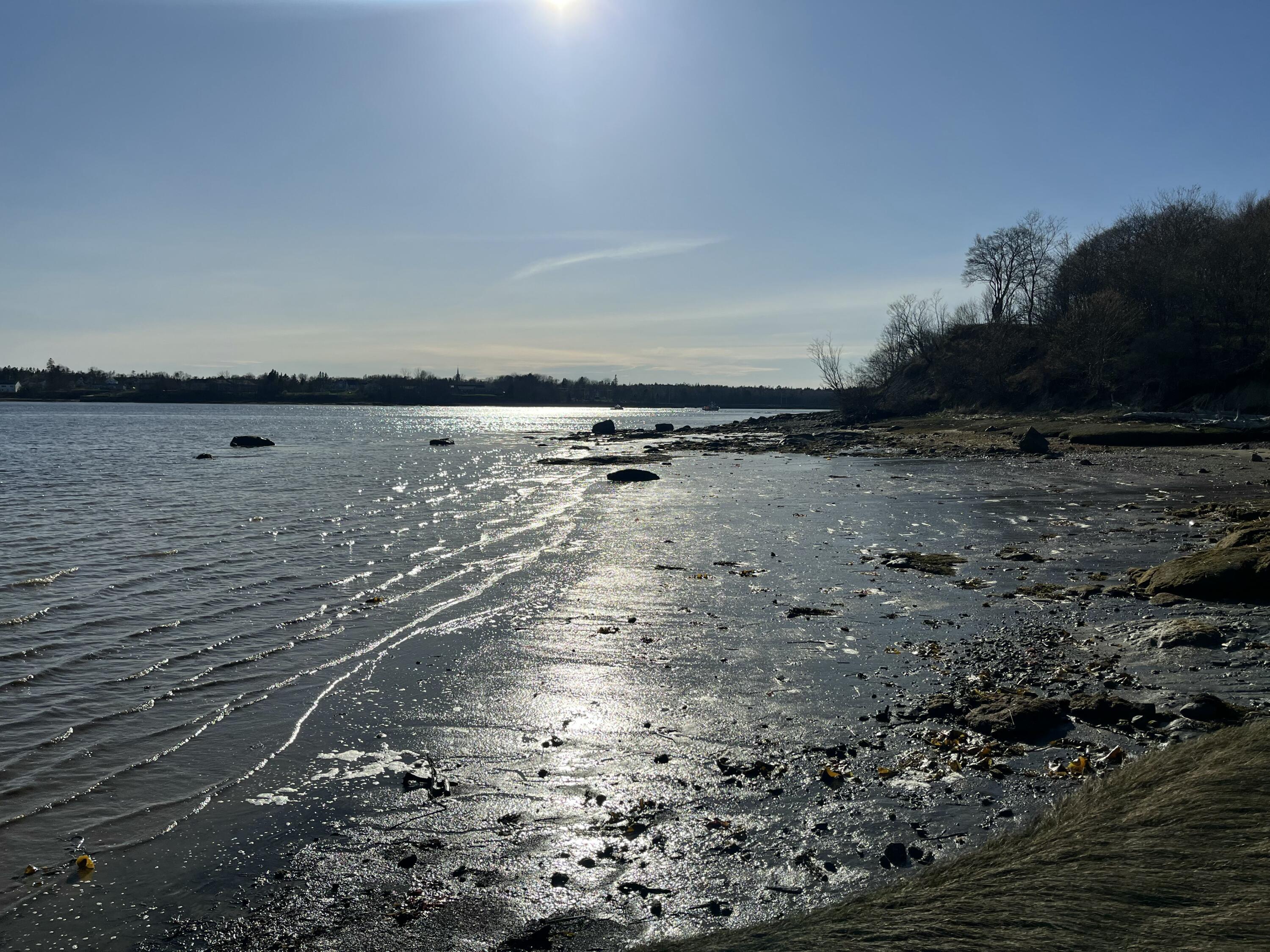 85 Ficketts Point Road Milbridge ME 04658