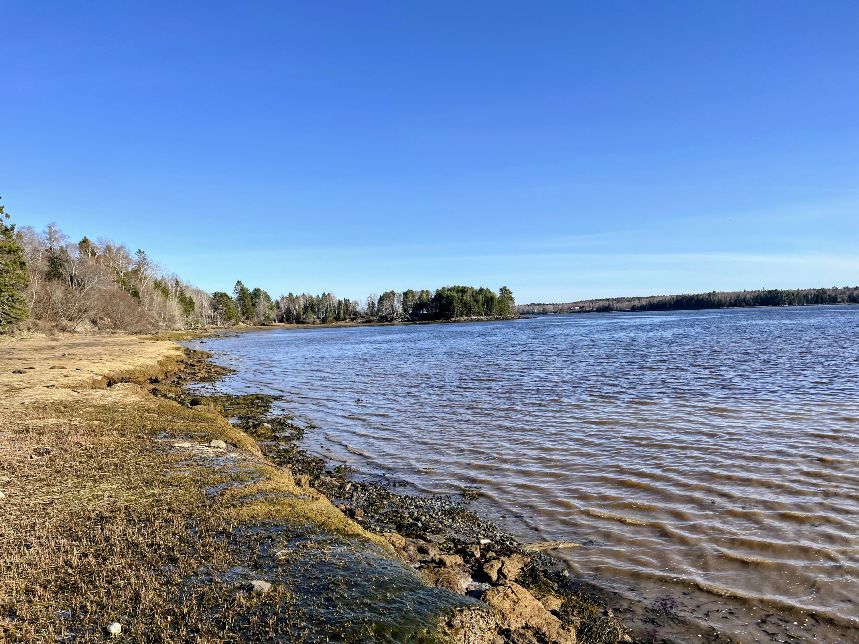 85 Ficketts Point Road Milbridge ME 04658