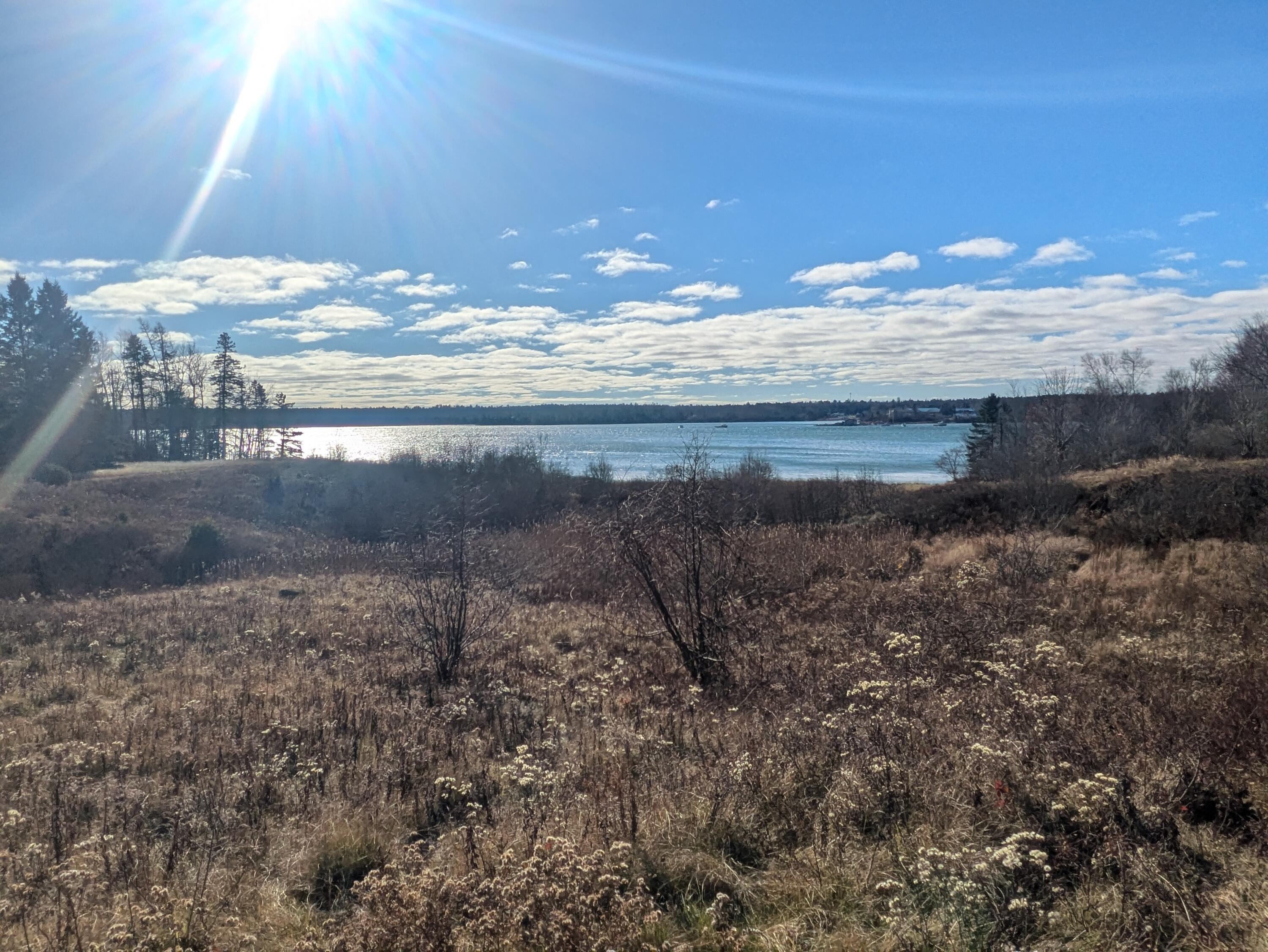 85 Ficketts Point Road Milbridge ME 04658