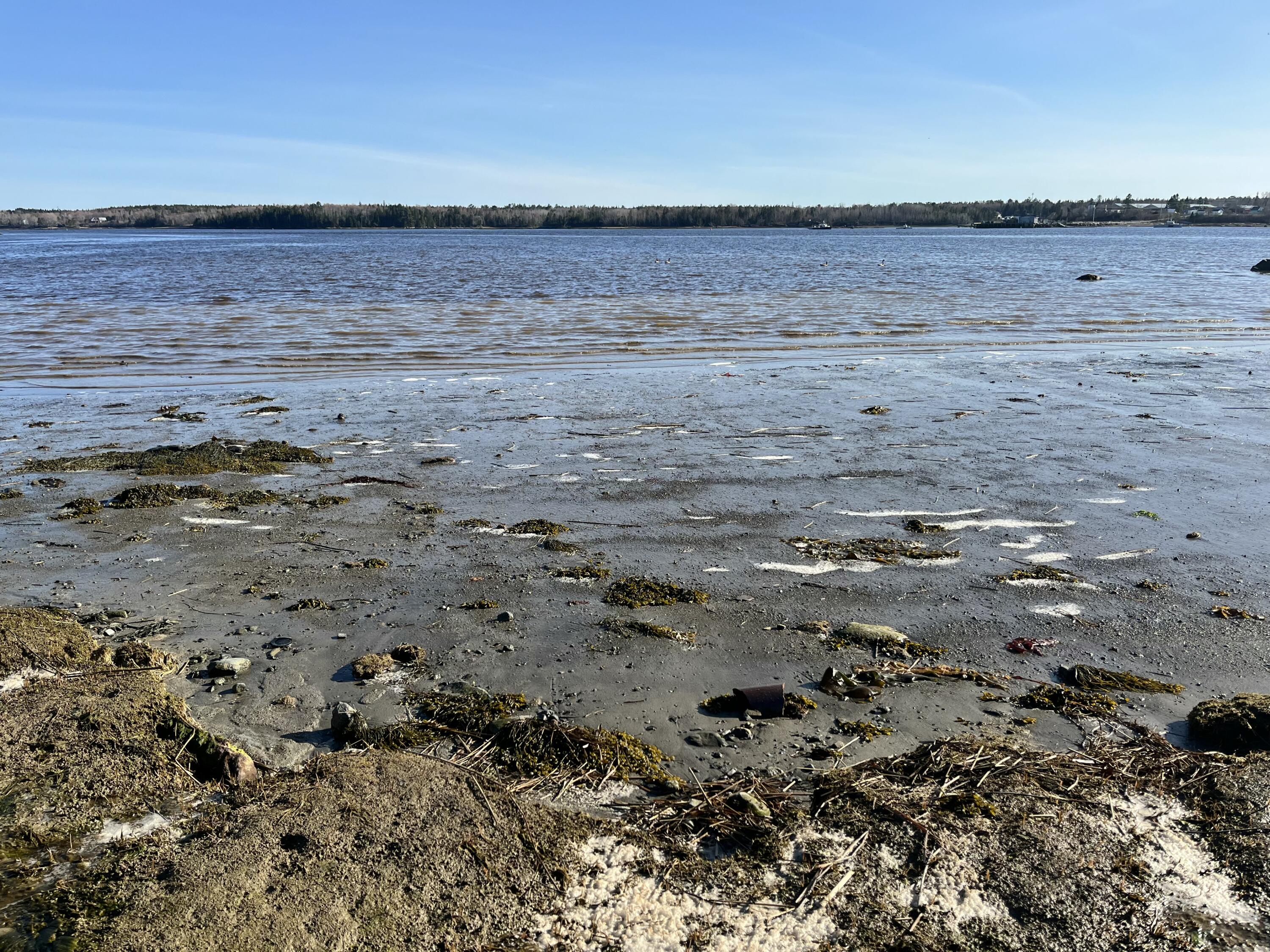 85 Ficketts Point Road Milbridge ME 04658