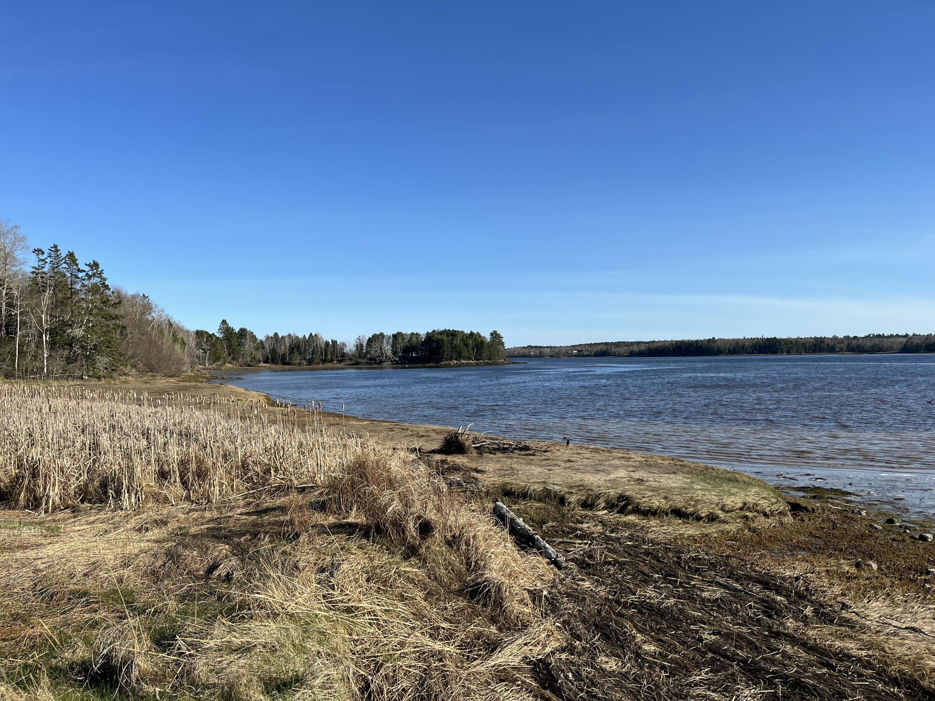 85 Ficketts Point Road Milbridge ME 04658