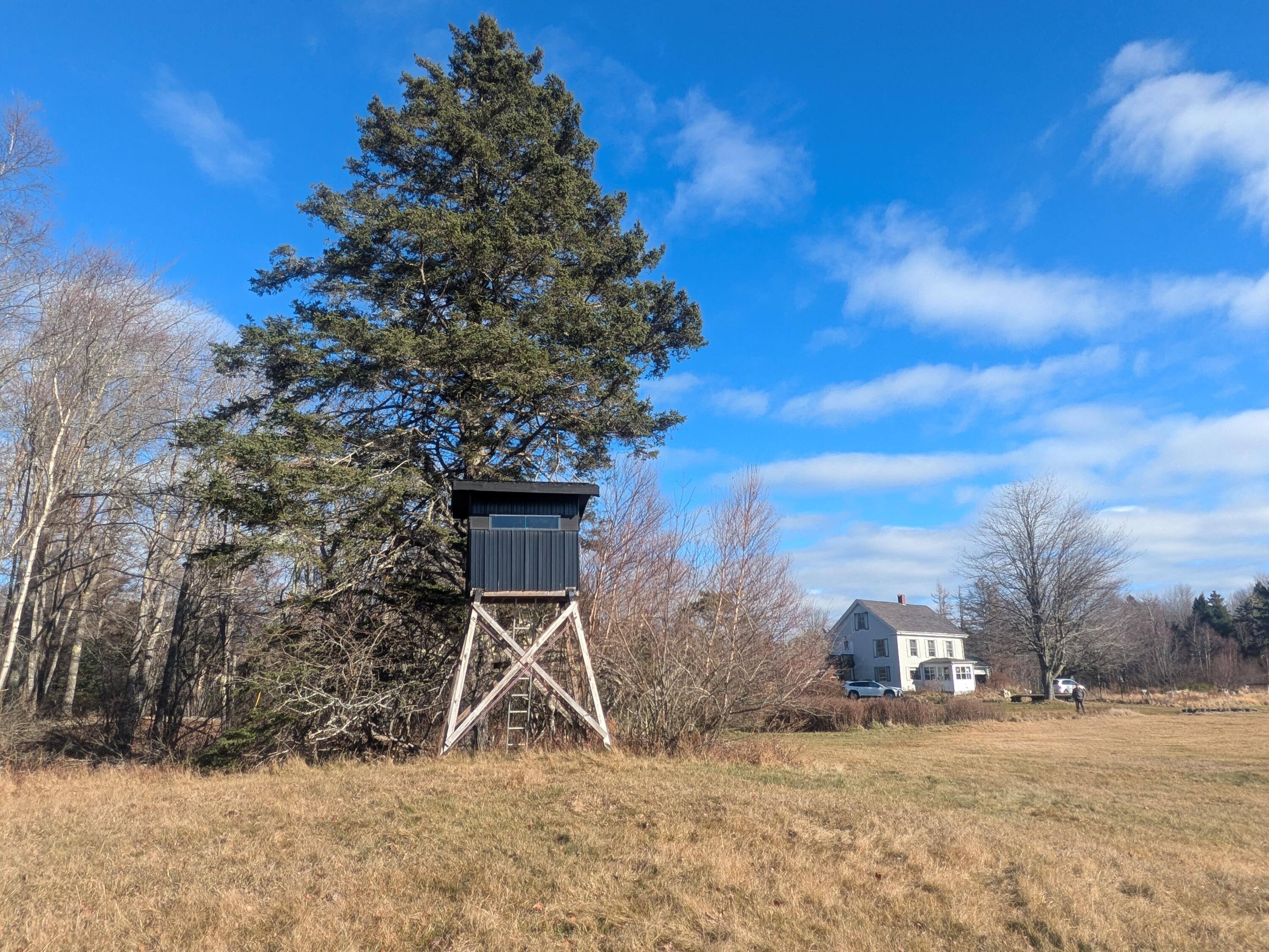 85 Ficketts Point Road Milbridge ME 04658