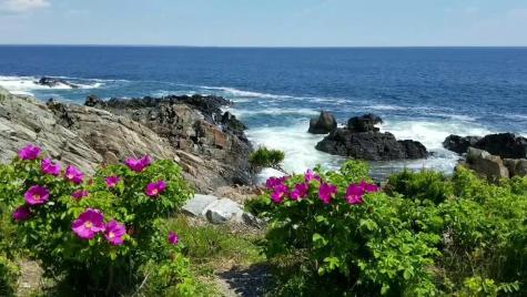 1 Robinson Way Kennebunk ME 04043