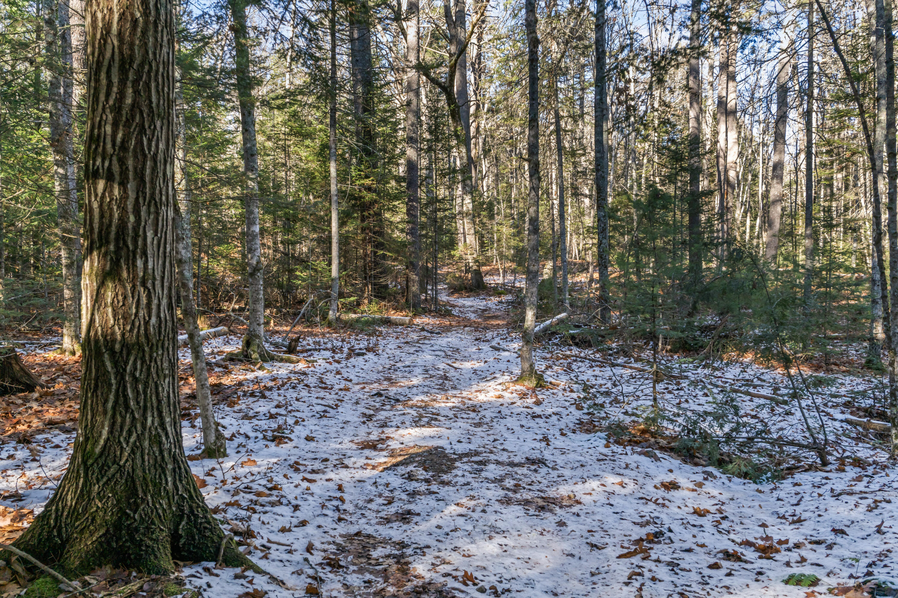 796 W Alna Road Alna ME 04535