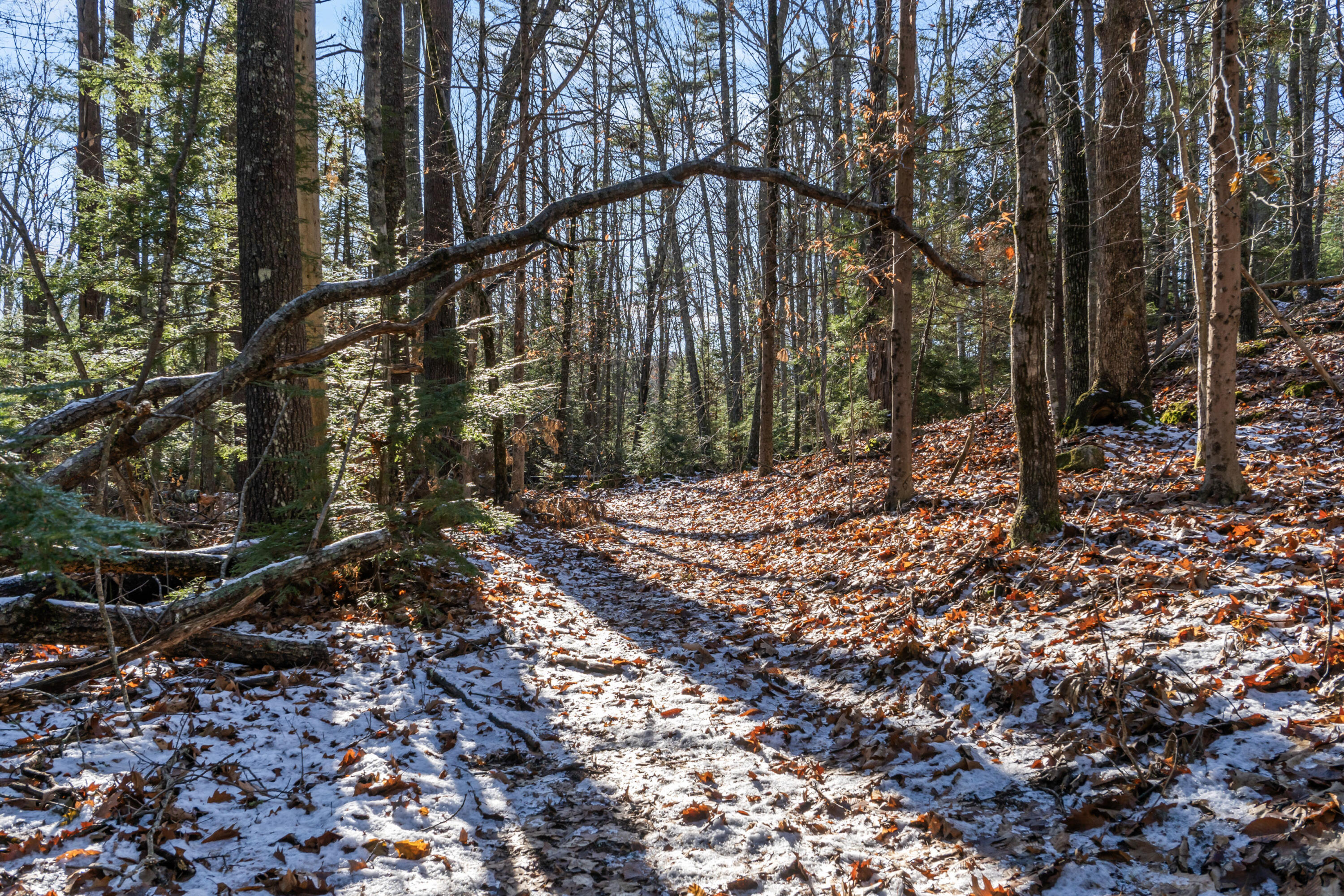 796 W Alna Road Alna ME 04535