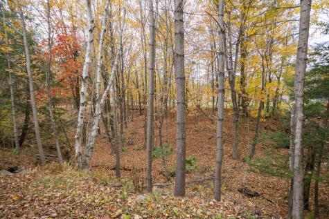 116 Birchwood Lane Farmington ME 04938