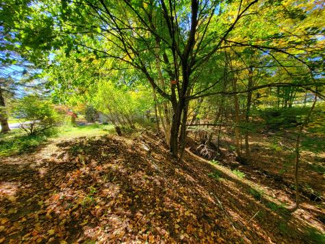 116 Birchwood Lane Farmington ME 04938