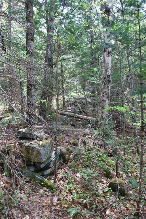 346 Abbot Road Blanchard Twp ME 04406