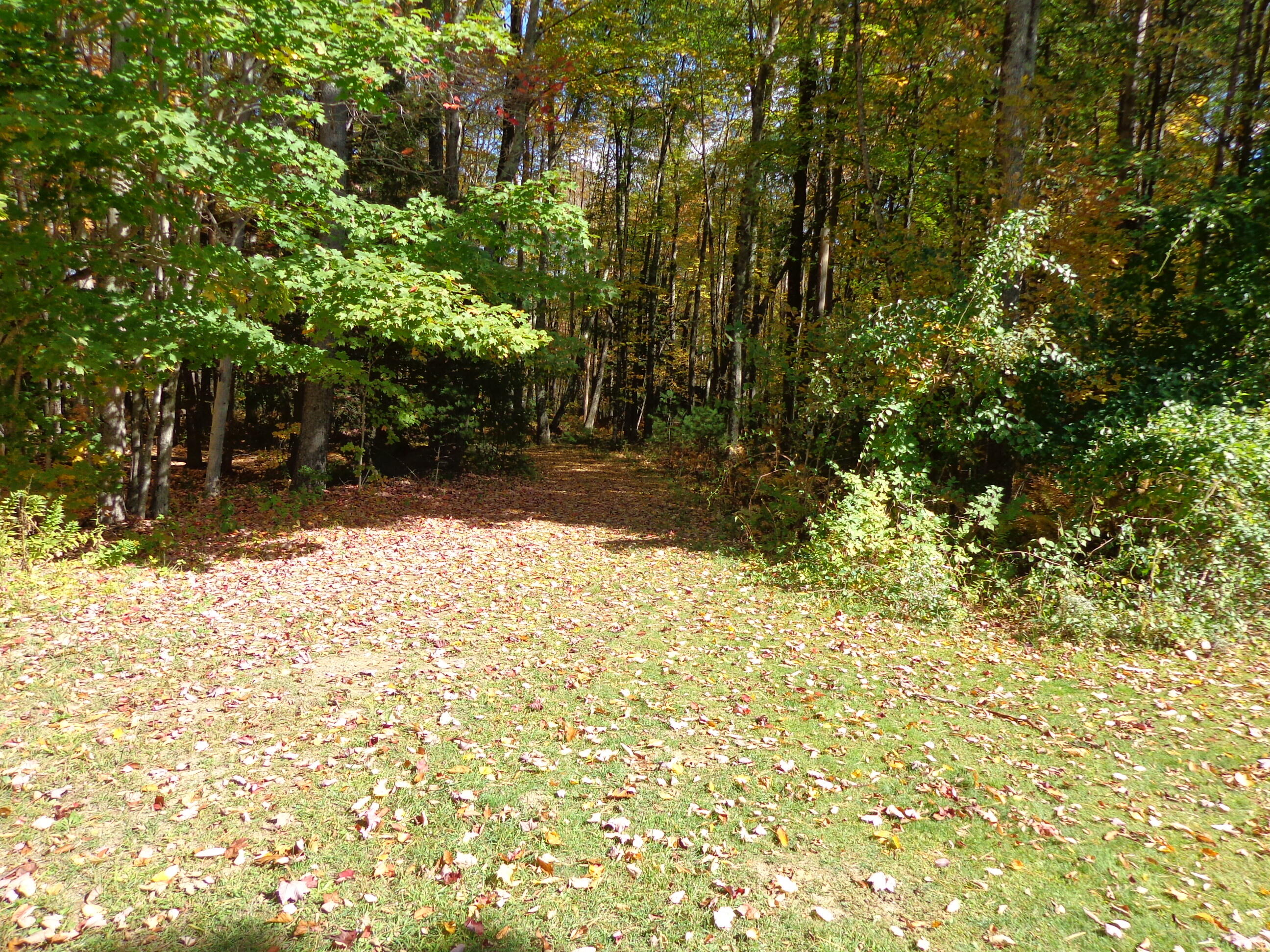 19 Rodrigue Lane Shapleigh ME 04076