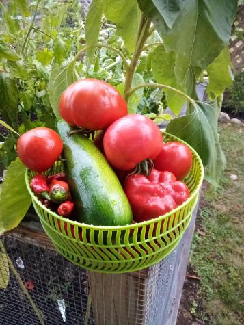 28 Coggeshall Lane Wells ME 04090