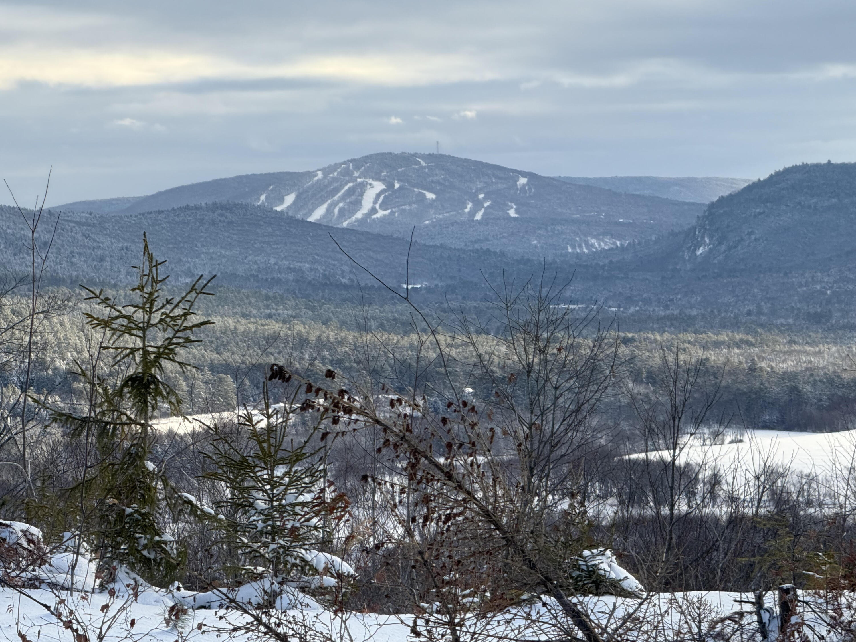 3 Moose Ridge Hanover ME 04237