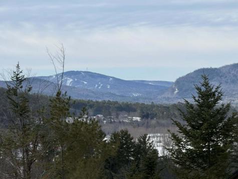 3 Moose Ridge Hanover ME 04237