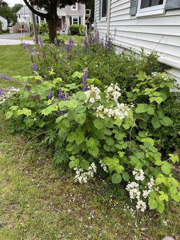 8 Meadow Way Cape Elizabeth ME 04107