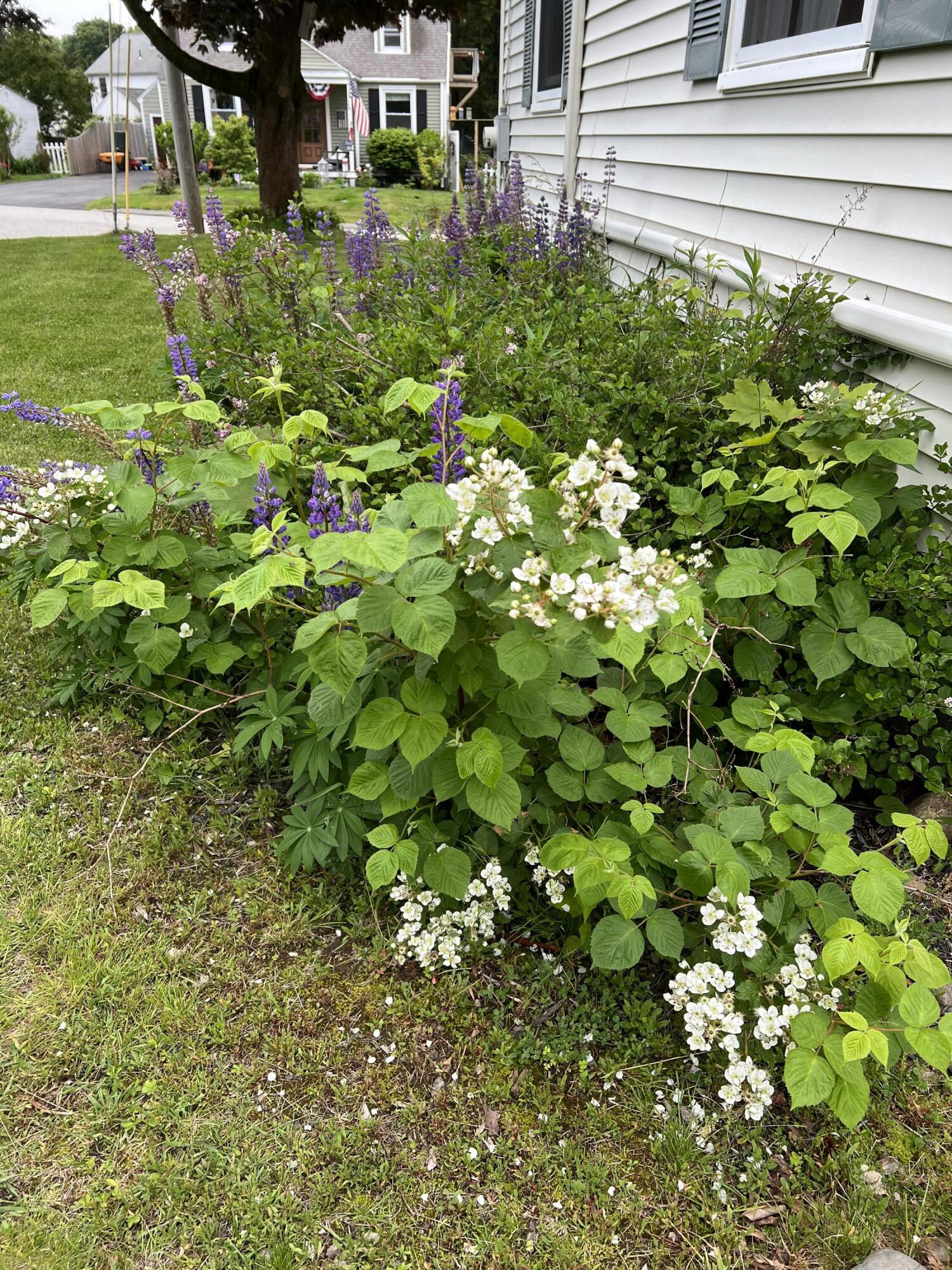 8 Meadow Way Cape Elizabeth ME 04107
