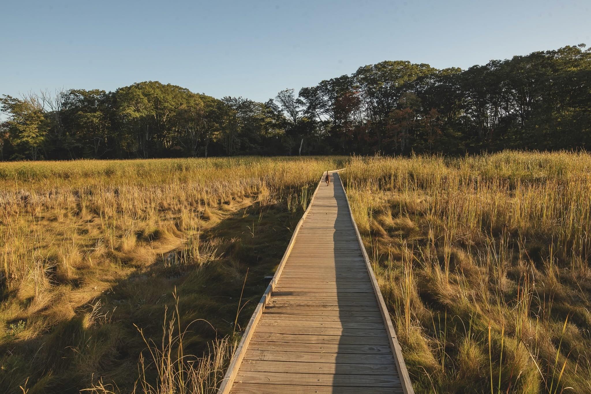 8 Meadow Way Cape Elizabeth ME 04107