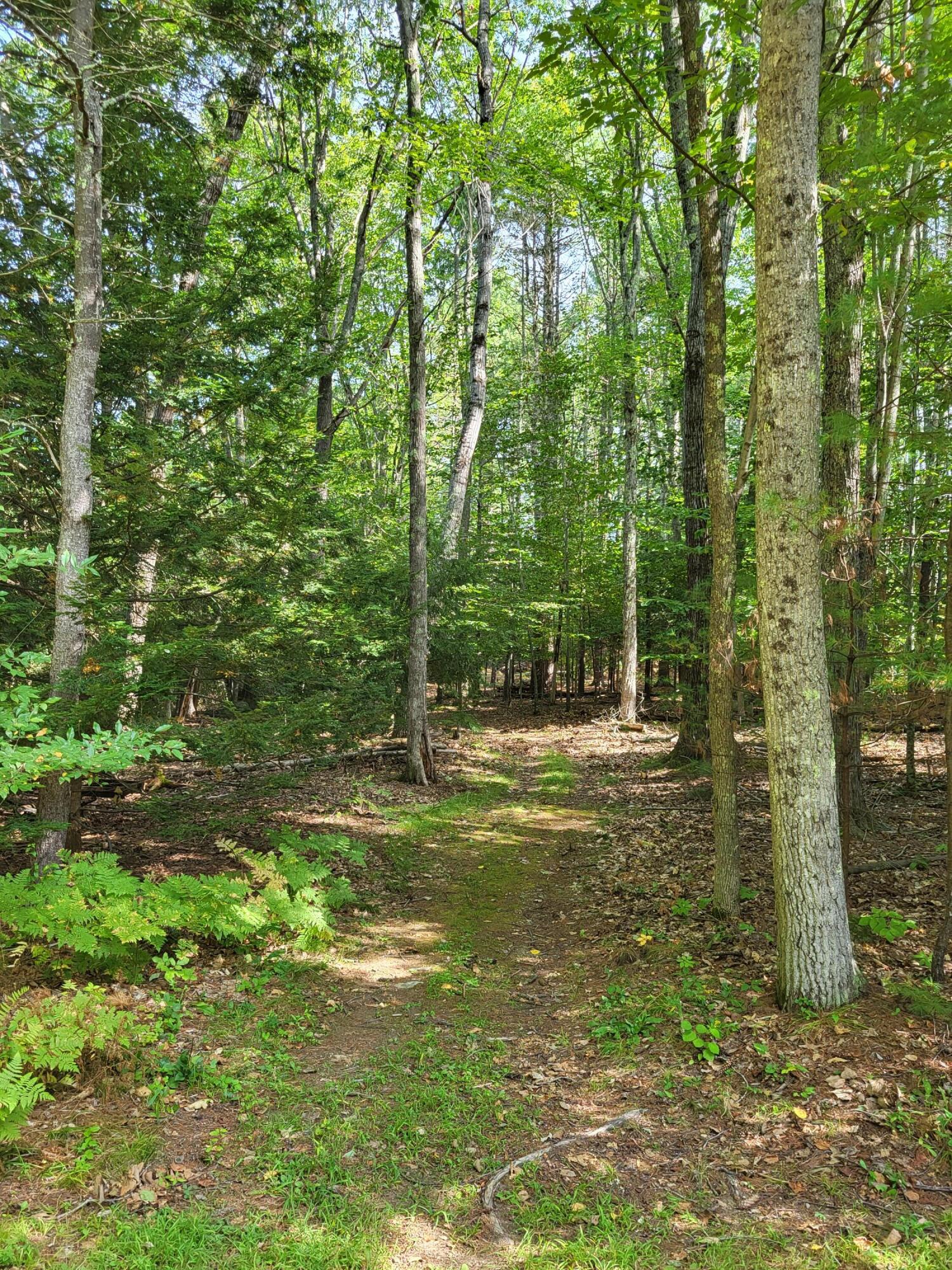 99 Land Of Nod Road Windham ME 04062