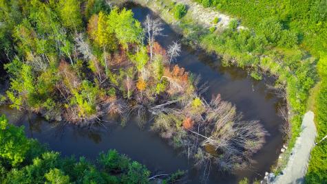 10 Phoebe Island & 56 Beaver Brook Road Bowerbank ME 04426