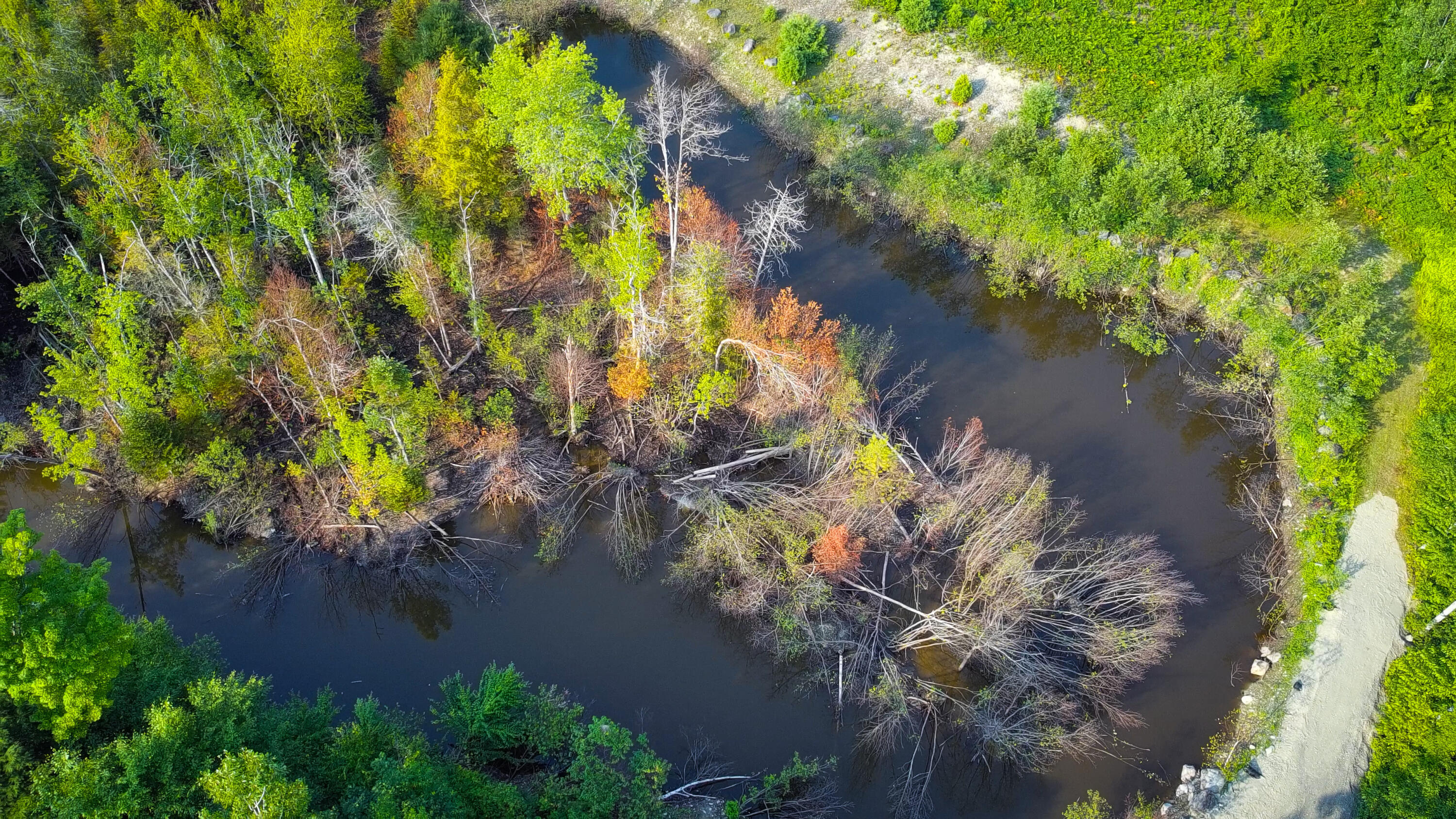 10 Phoebe Island & 56 Beaver Brook Road Bowerbank ME 04426