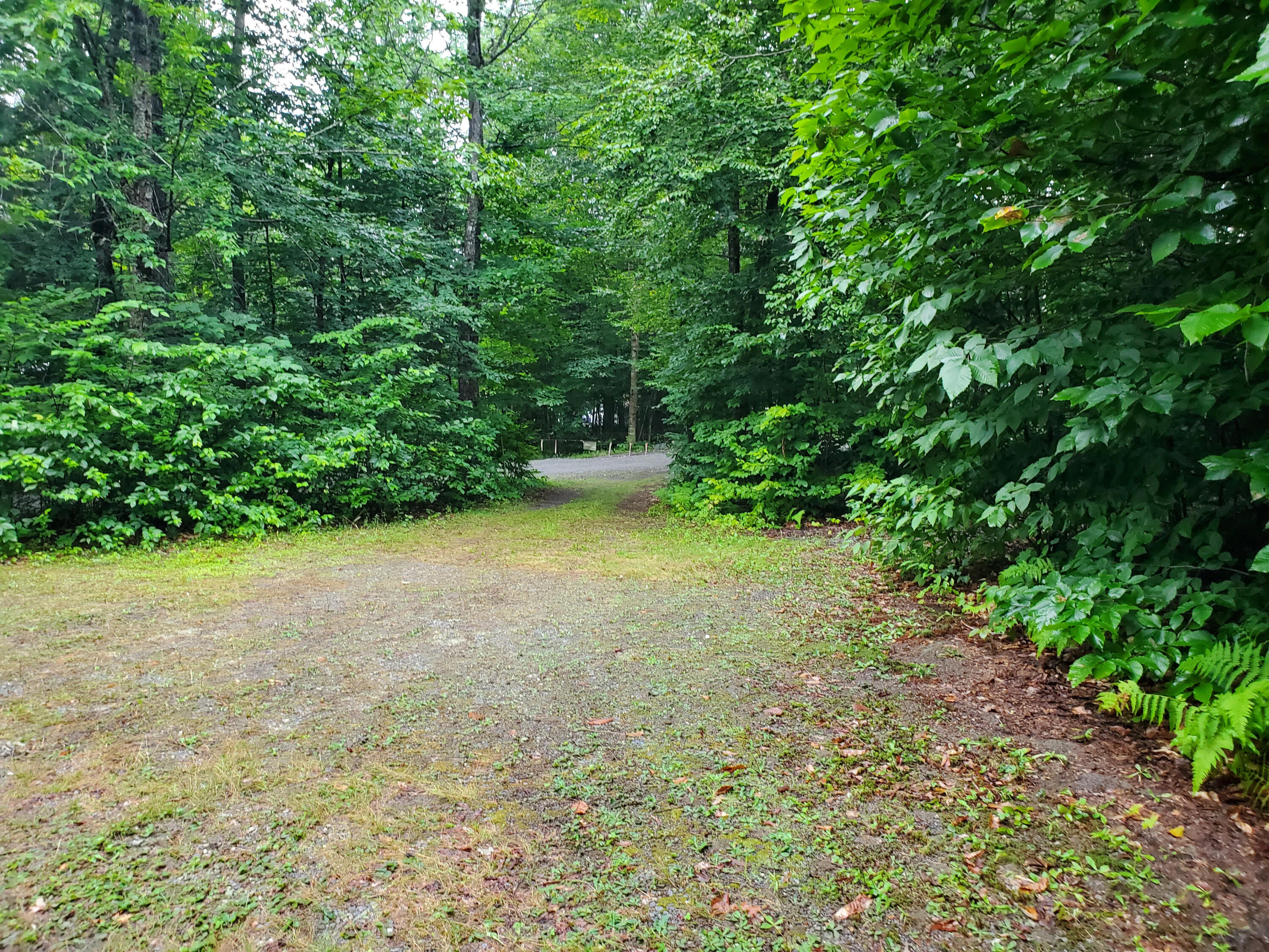 10 Phoebe Island & 56 Beaver Brook Road Bowerbank ME 04426