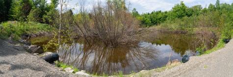 10 Phoebe Island & 56 Beaver Brook Road Bowerbank ME 04426