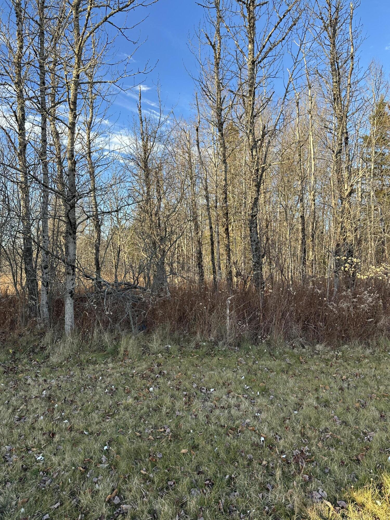 1491 Main Street Harrington ME 04623