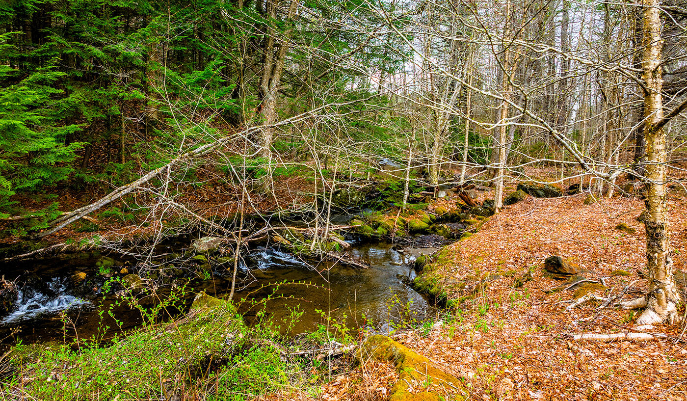 304 Beach Road Lincolnville ME 04849