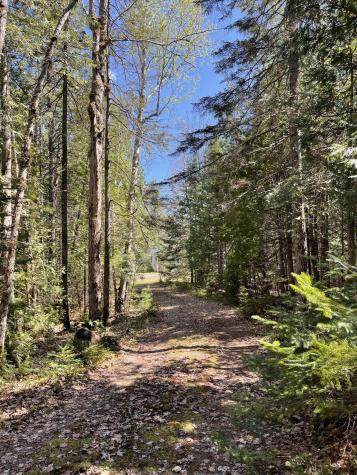 20 Chase Brook Drive Alexander ME 04694