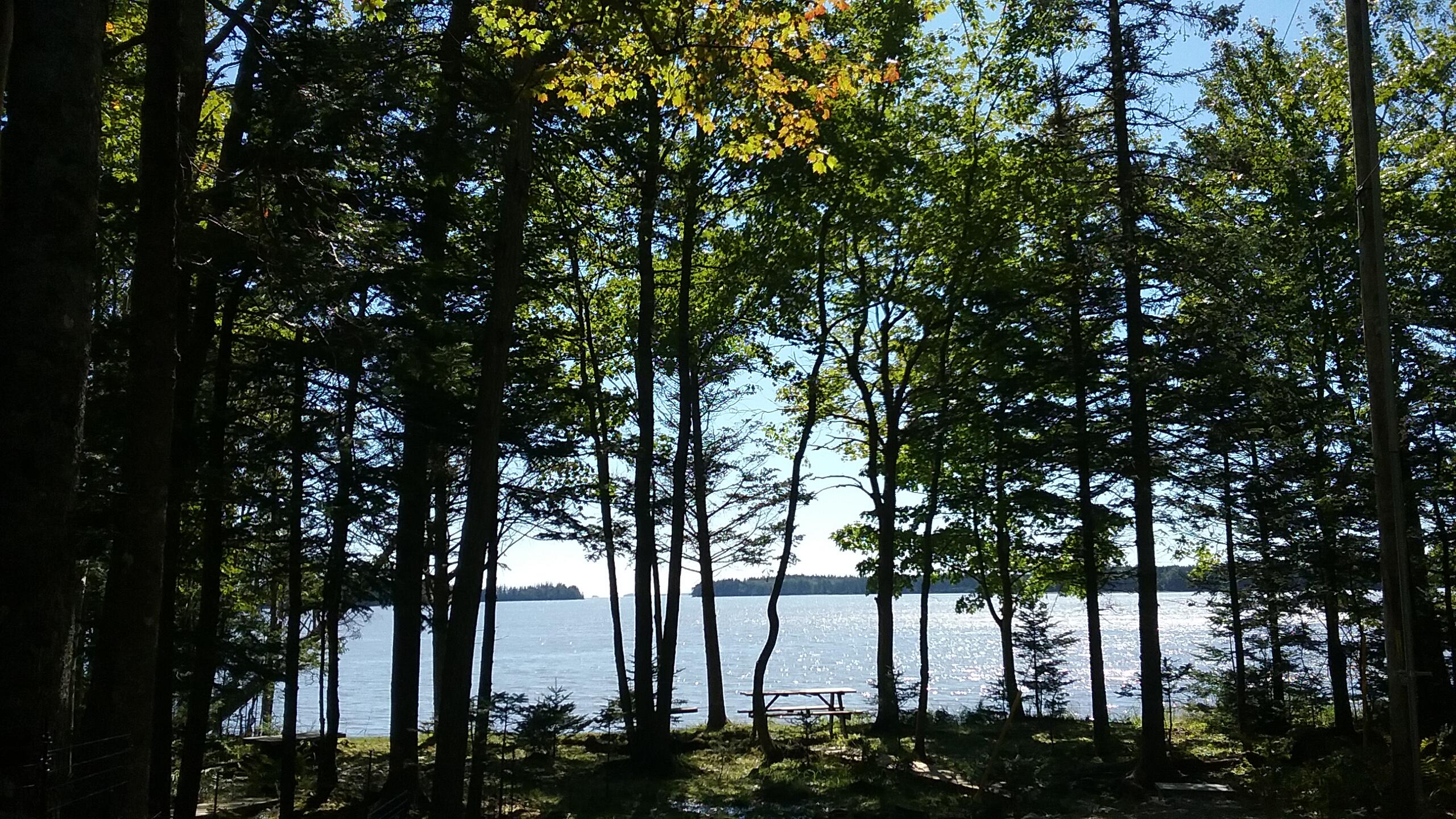 207 Rays Point Road Milbridge ME 04658