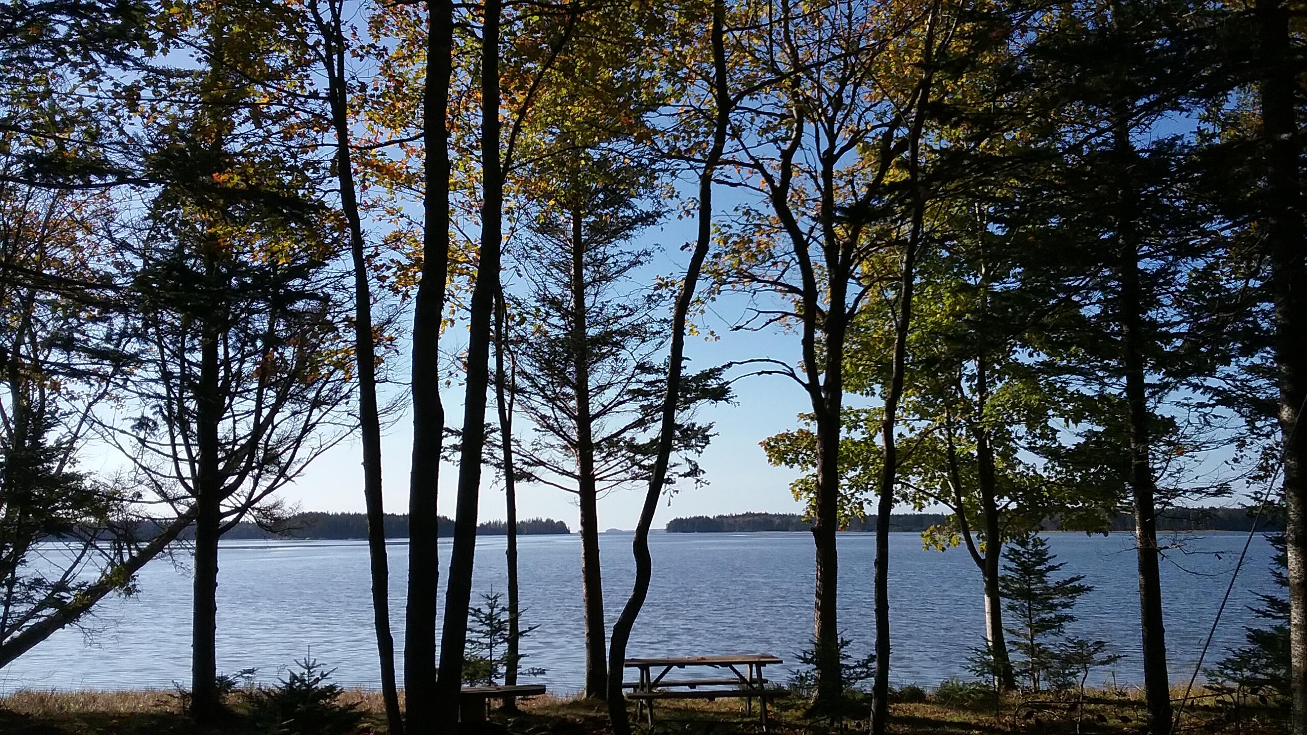 207 Rays Point Road Milbridge ME 04658